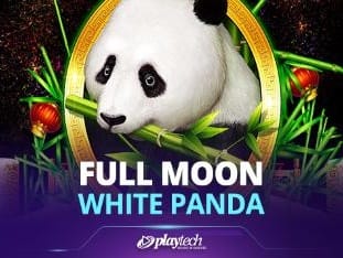 Full Moon_ White Panda™