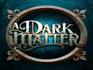 A Dark Matter